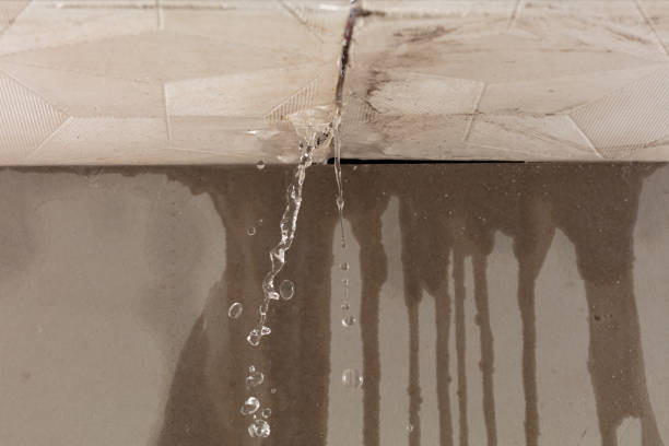 Professional Water Damage Repair technician working in Smiley, TX
